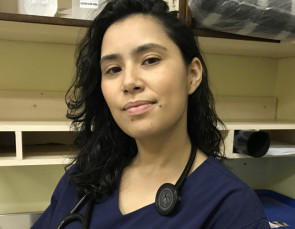 Jule Santos